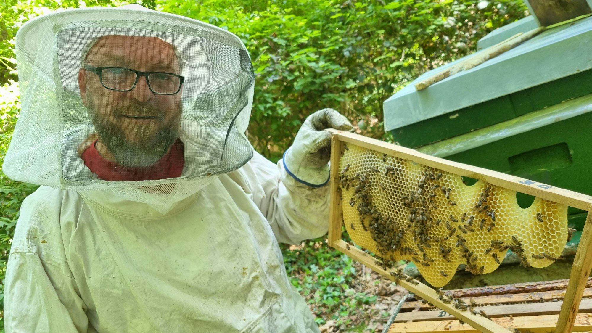 Thomas Bihlmann zeigt die Waben, die seine Bienen bereits gebaut haben.