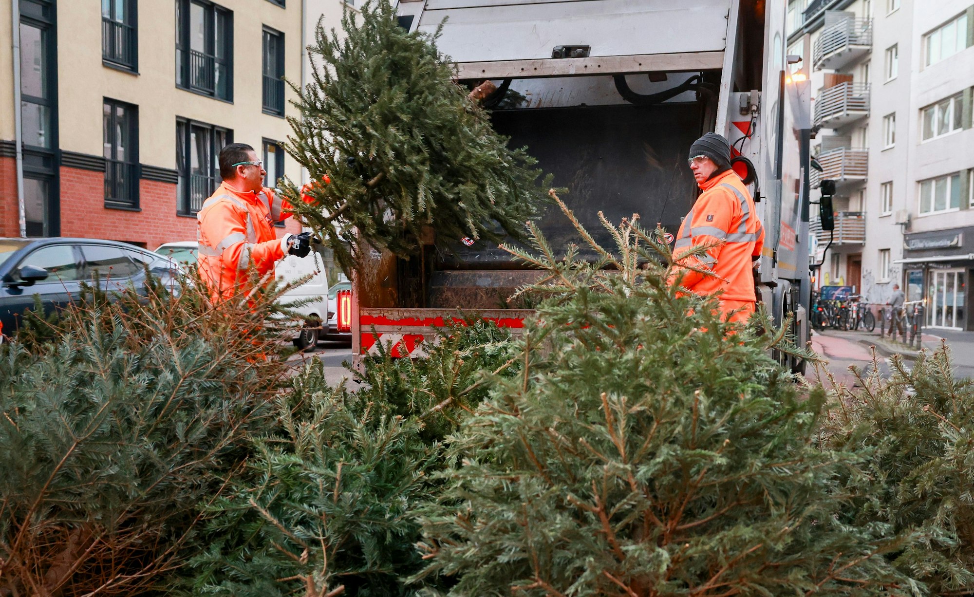 14.01.2025, Köln: Start der Weihnachtsbaumentsorgung durch die AWB in Köln.
Foto: Michael Bause