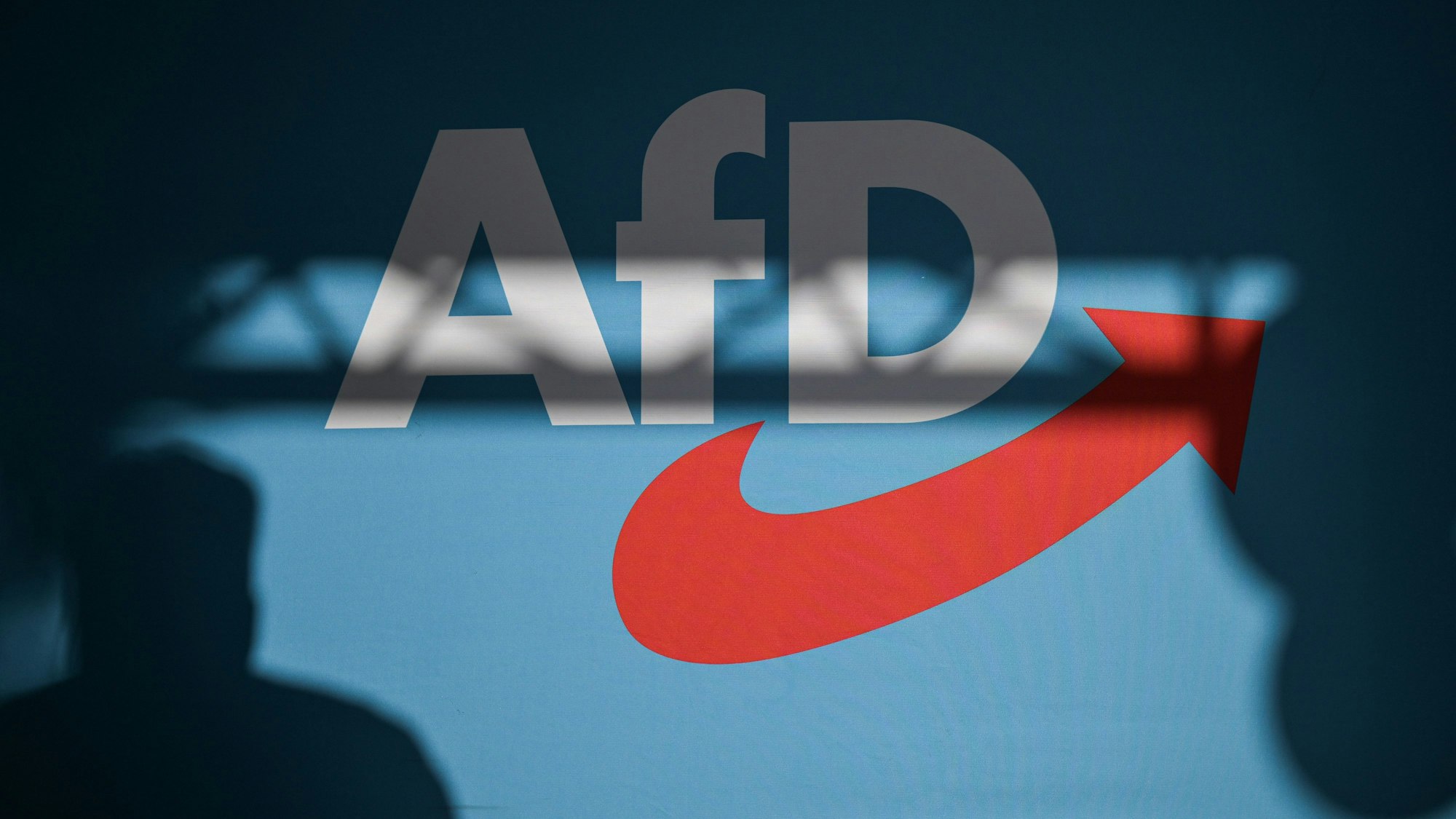Ein Redner wirft einen Schatten auf die Bühnenrückwand mit AfD-Schriftzug auf einer Veranstaltung.
