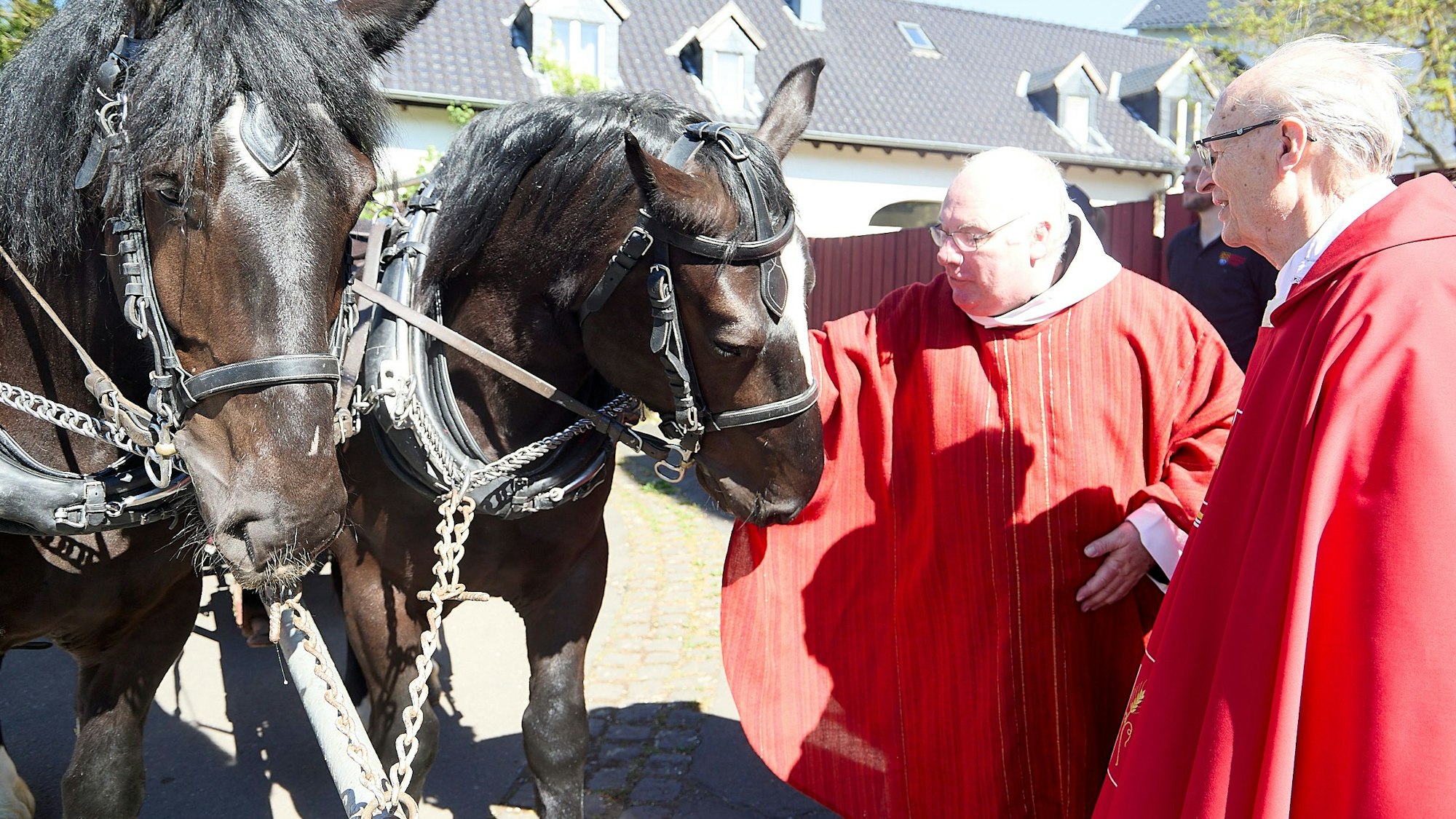 Zwei Priester in roten Gewändern stehen vor zwei schwarzen Pferden. Das eine Pferd beschnuppert das Gewand eines Priesters.