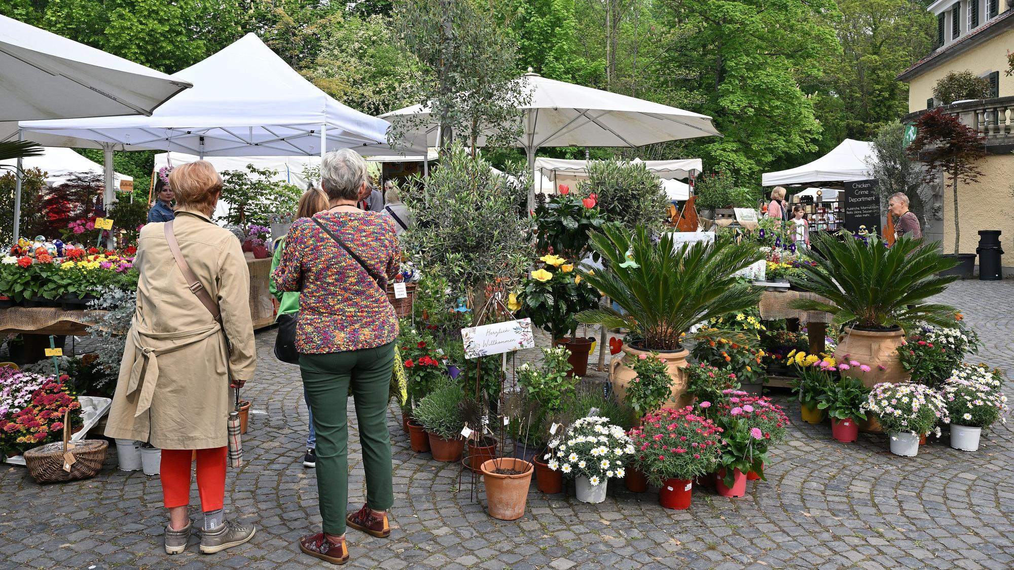 Zwei Besucherinnen schauen sich Gartenpflanzen an.