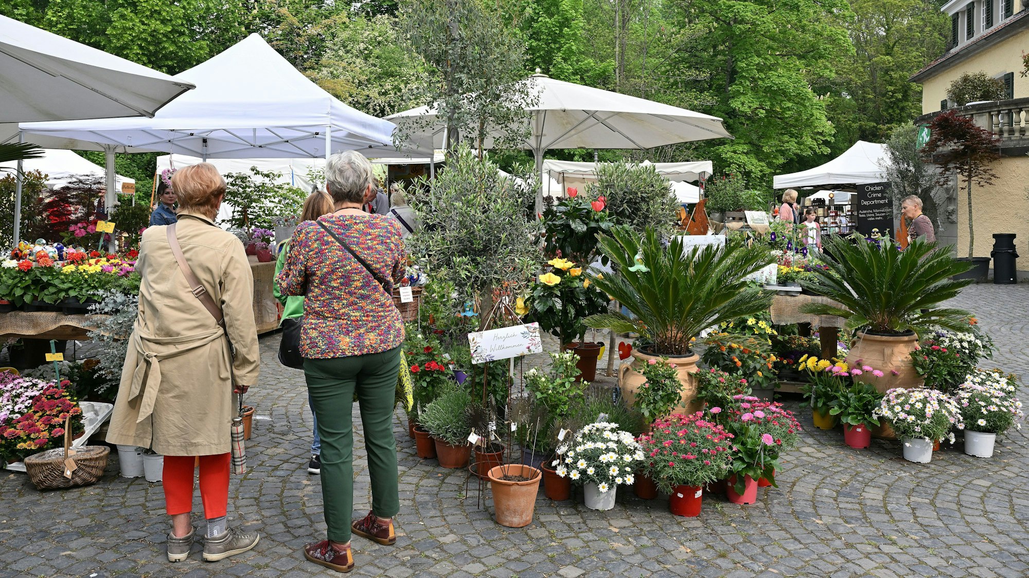 Zwei Besucherinnen schauen sich Gartenpflanzen an.