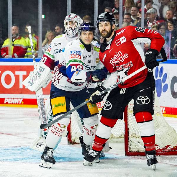 Alexandre Grenier muss die Kölner Haie verlassen.