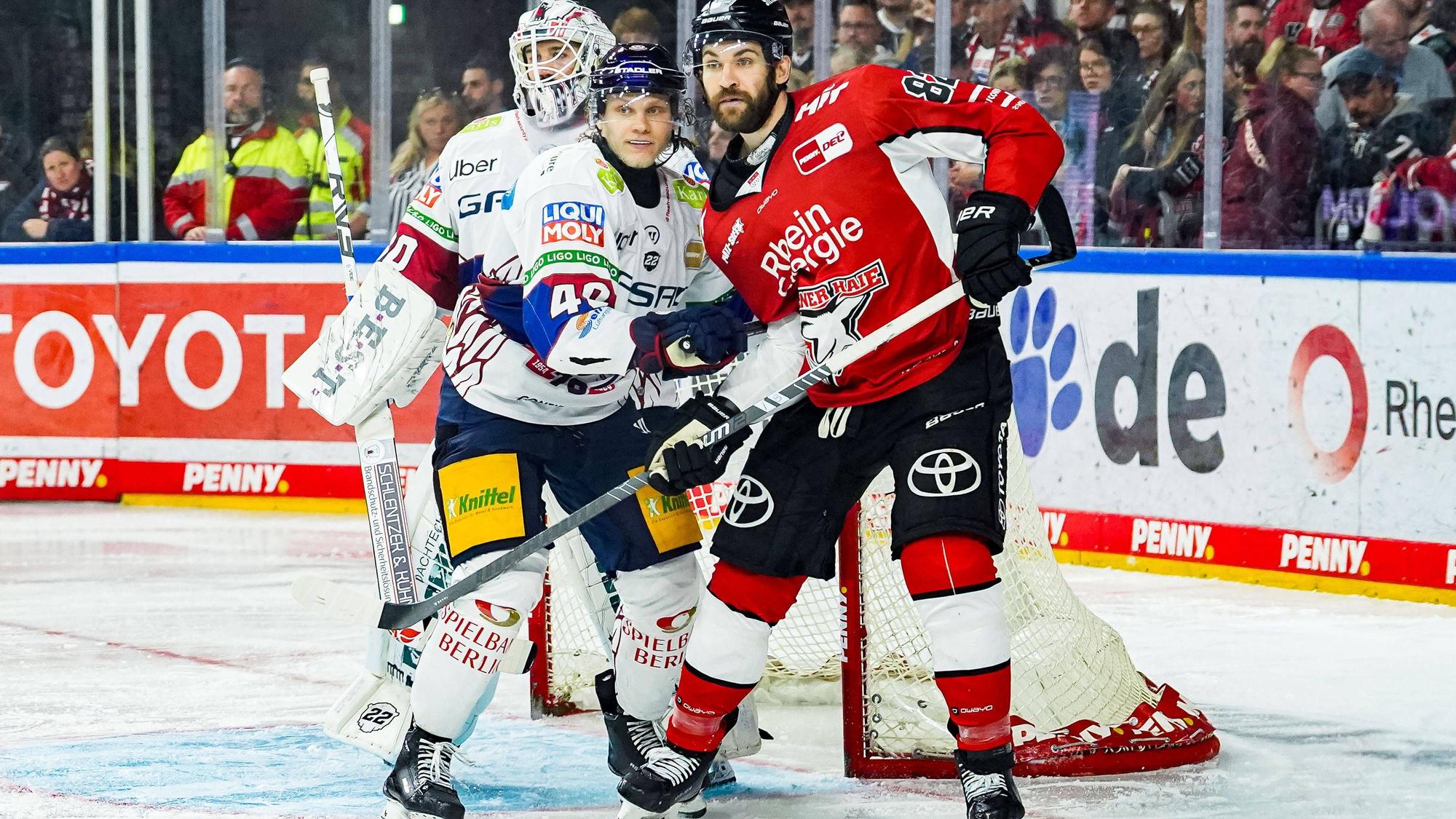 Alexandre Grenier muss die Kölner Haie verlassen.