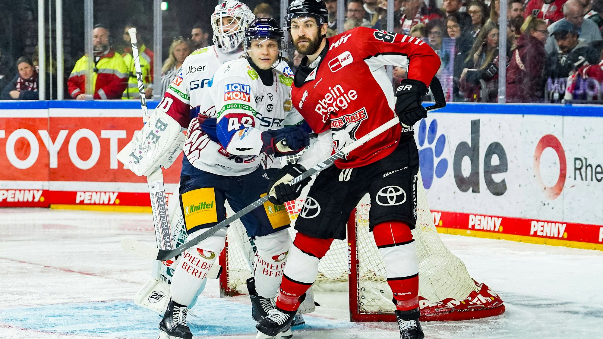 Alexandre Grenier muss die Kölner Haie verlassen.