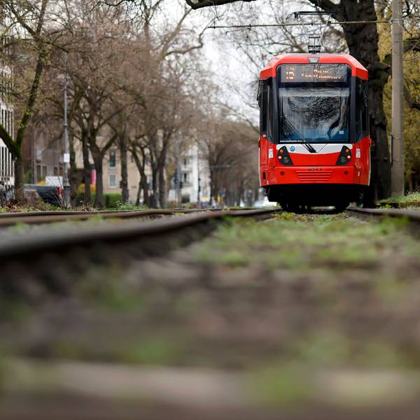 Eine KVB-Bahn der Linie 16 fährt in der Kölner Südstadt auf den Kölner Ringen in einem Abschnitt mit begrünten Parkanlagen. Themenbild, Symbolbild. Köln, 18.03.2024 NRW Deutschland *** A KVB train on line 16 runs along the Cologne Rings in Colognes Südstadt district in a section with green parkland Themed image, symbolic image Cologne, 18 03 2024 NRW Germany Copyright: xChristophxHardtx
