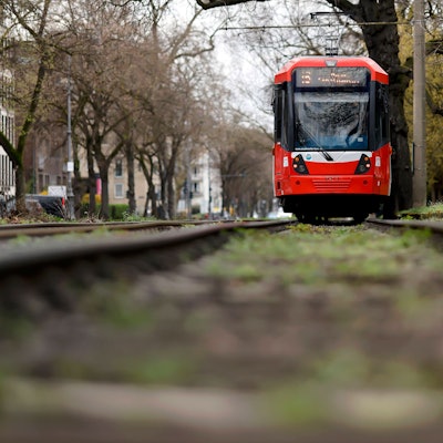 Eine KVB-Bahn der Linie 16 fährt in der Kölner Südstadt auf den Kölner Ringen in einem Abschnitt mit begrünten Parkanlagen. Themenbild, Symbolbild. Köln, 18.03.2024 NRW Deutschland *** A KVB train on line 16 runs along the Cologne Rings in Colognes Südstadt district in a section with green parkland Themed image, symbolic image Cologne, 18 03 2024 NRW Germany Copyright: xChristophxHardtx