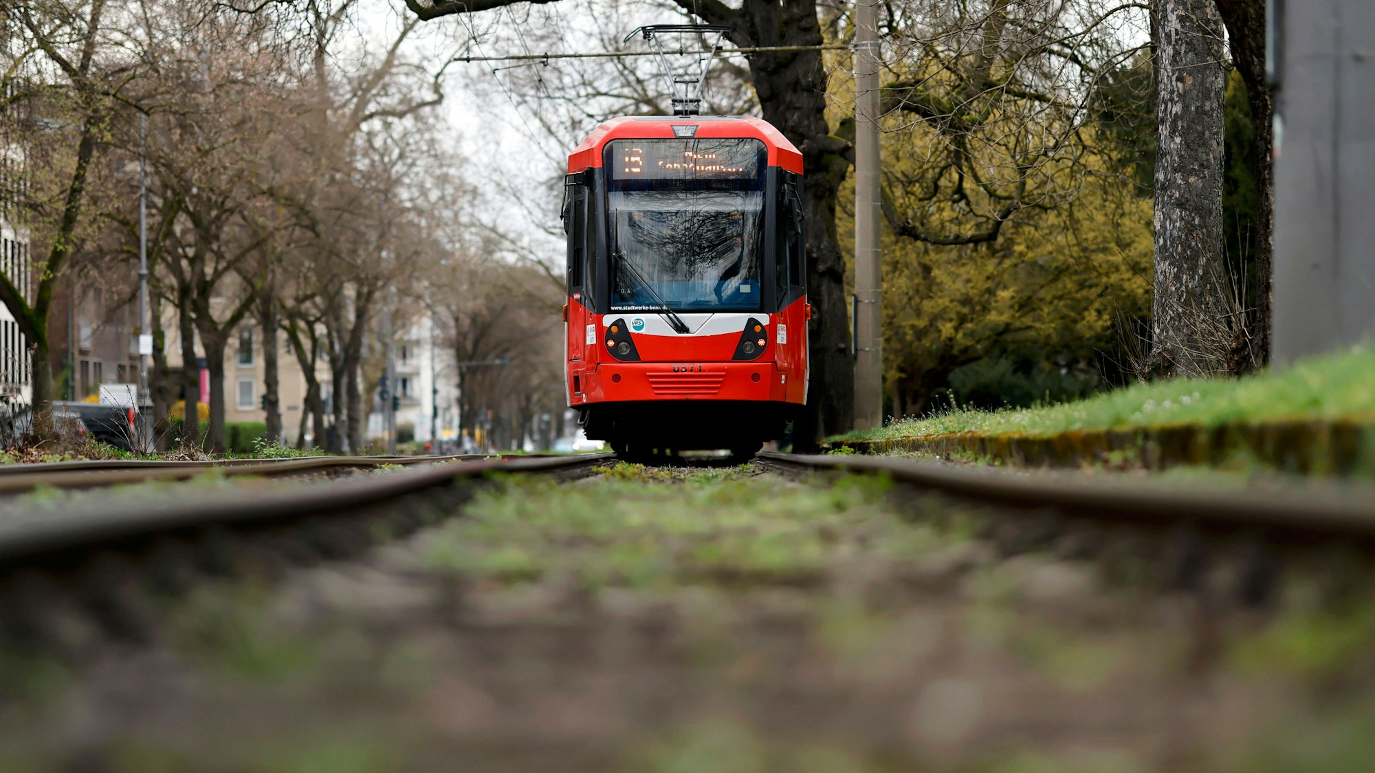 Eine KVB-Bahn der Linie 16 fährt in der Kölner Südstadt auf den Kölner Ringen in einem Abschnitt mit begrünten Parkanlagen. Themenbild, Symbolbild. Köln, 18.03.2024 NRW Deutschland *** A KVB train on line 16 runs along the Cologne Rings in Colognes Südstadt district in a section with green parkland Themed image, symbolic image Cologne, 18 03 2024 NRW Germany Copyright: xChristophxHardtx
