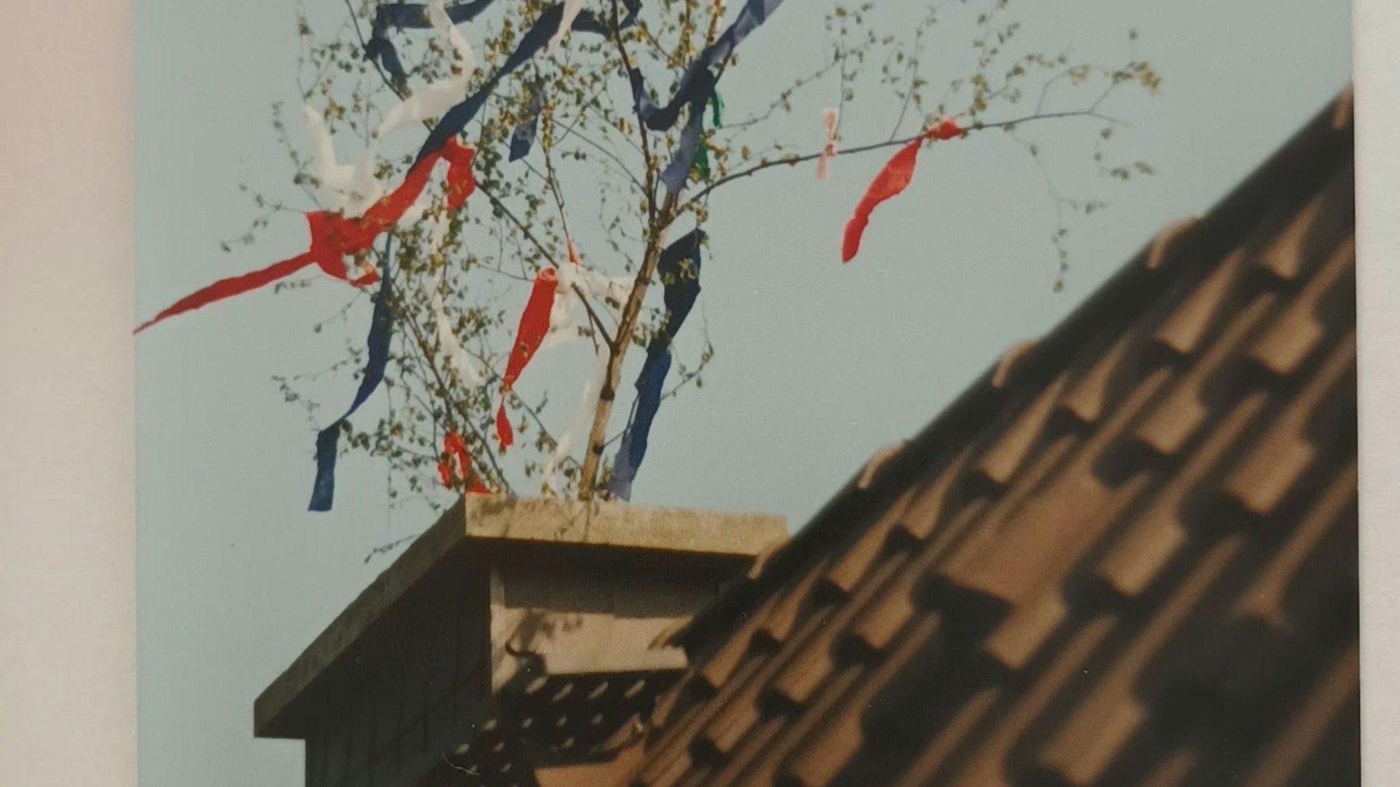 Aus einem Kamin auf einem Dachgiebel ragt ein geschmückter Maibaum.