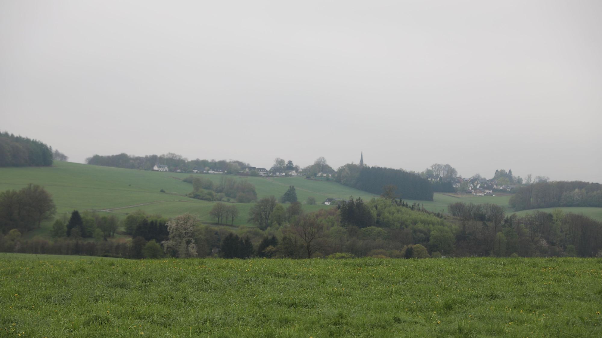Agathaberg im Nebel.