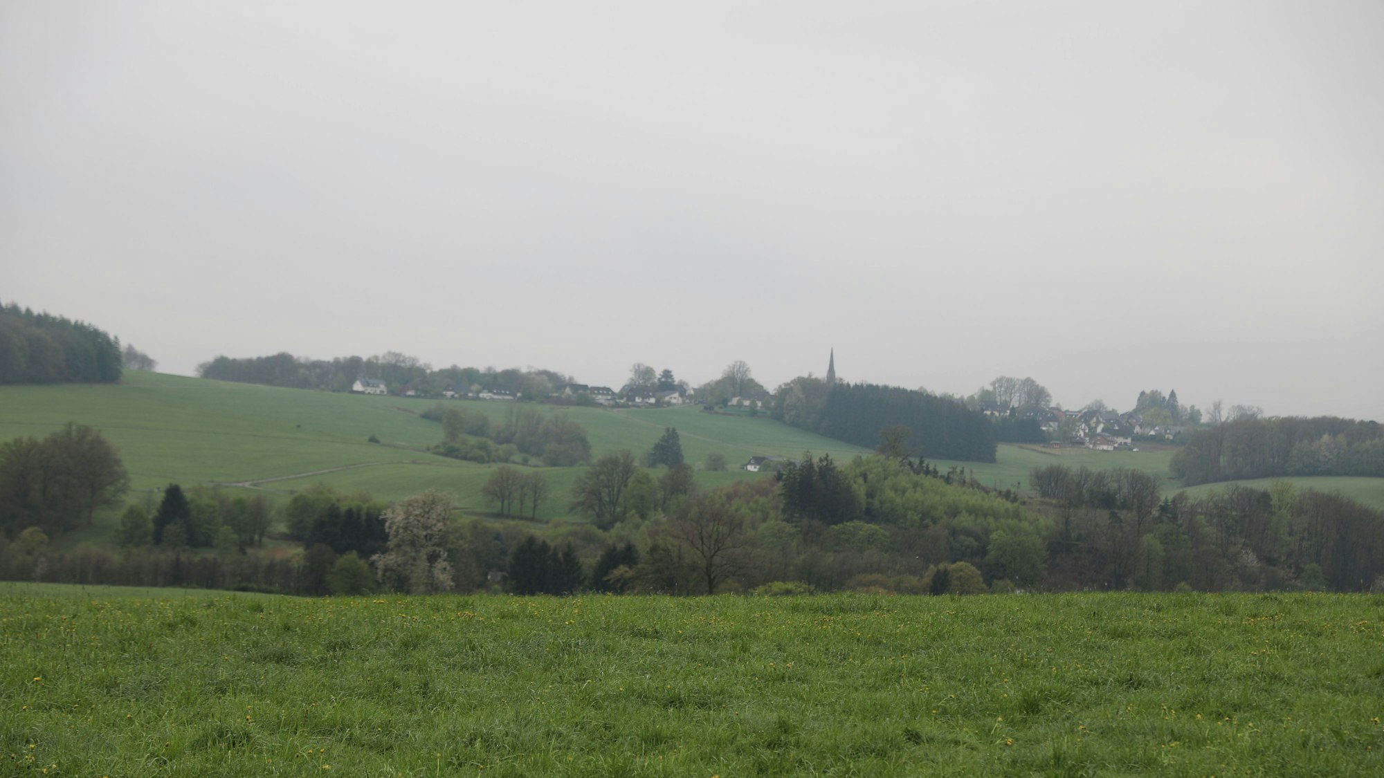 Agathaberg im Nebel.