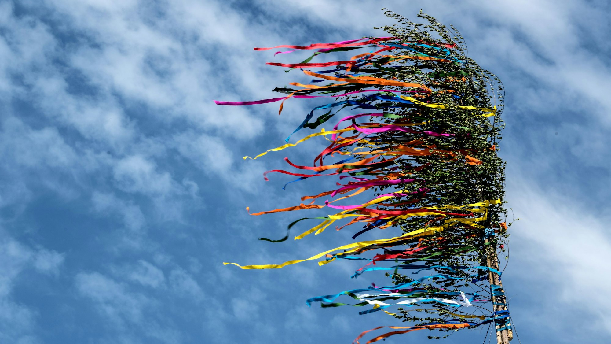Die bunten Bänder eines Maibaumes flattern vor dem blauen Himmel.