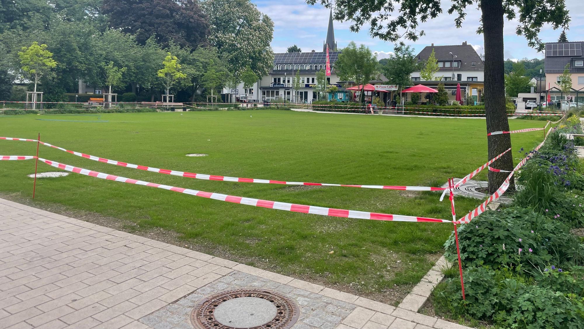 Der Rasen auf der Veranstaltungsfläche im Alten Stadtpark in Leichlingen wächst wieder.