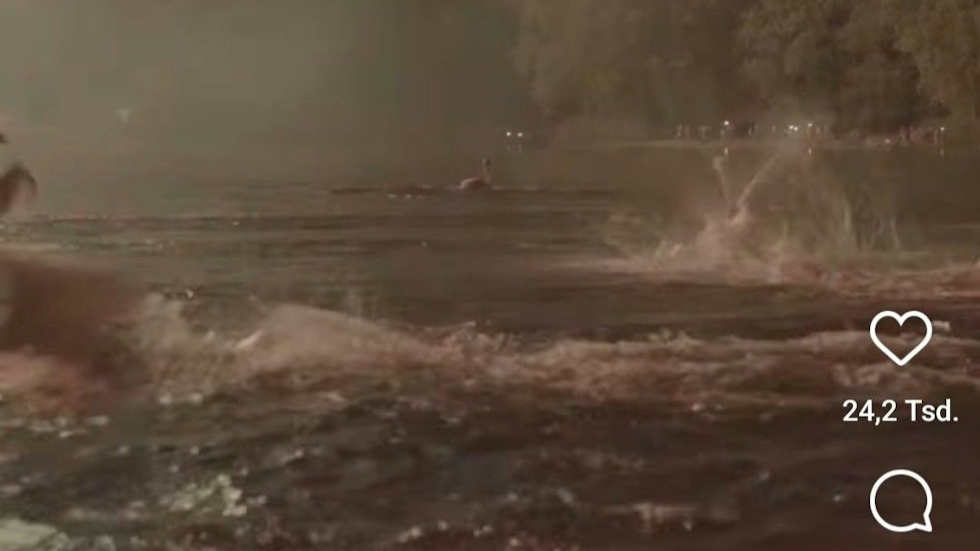 In dem Ausschnitt aus dem Video von „Rhein in Flammen“ sind aufgeschreckte Vögel auf dem Rheinauensee zu sehen.