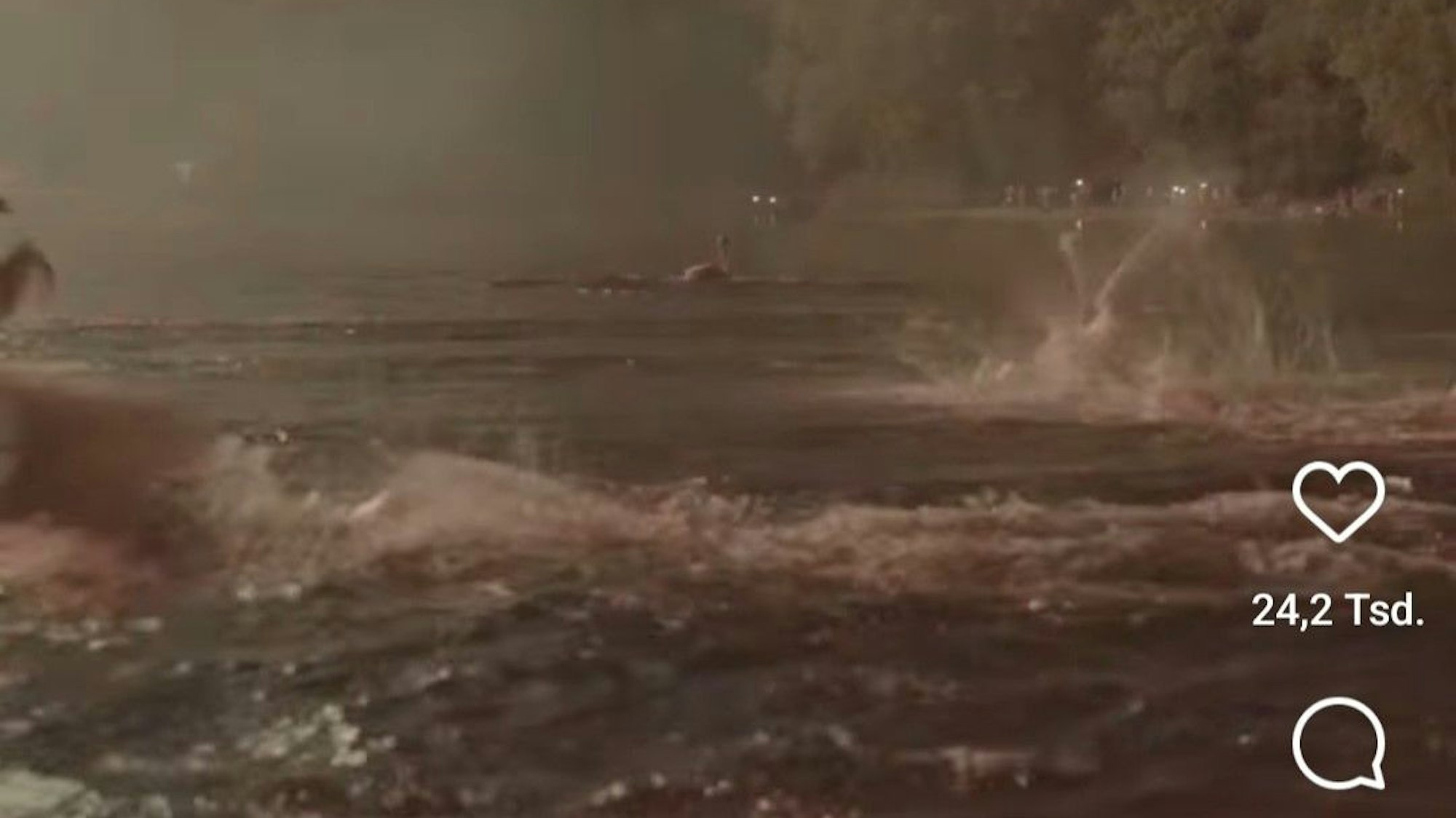 In dem Ausschnitt aus dem Video von „Rhein in Flammen“ sind aufgeschreckte Vögel auf dem Rheinauensee zu sehen.