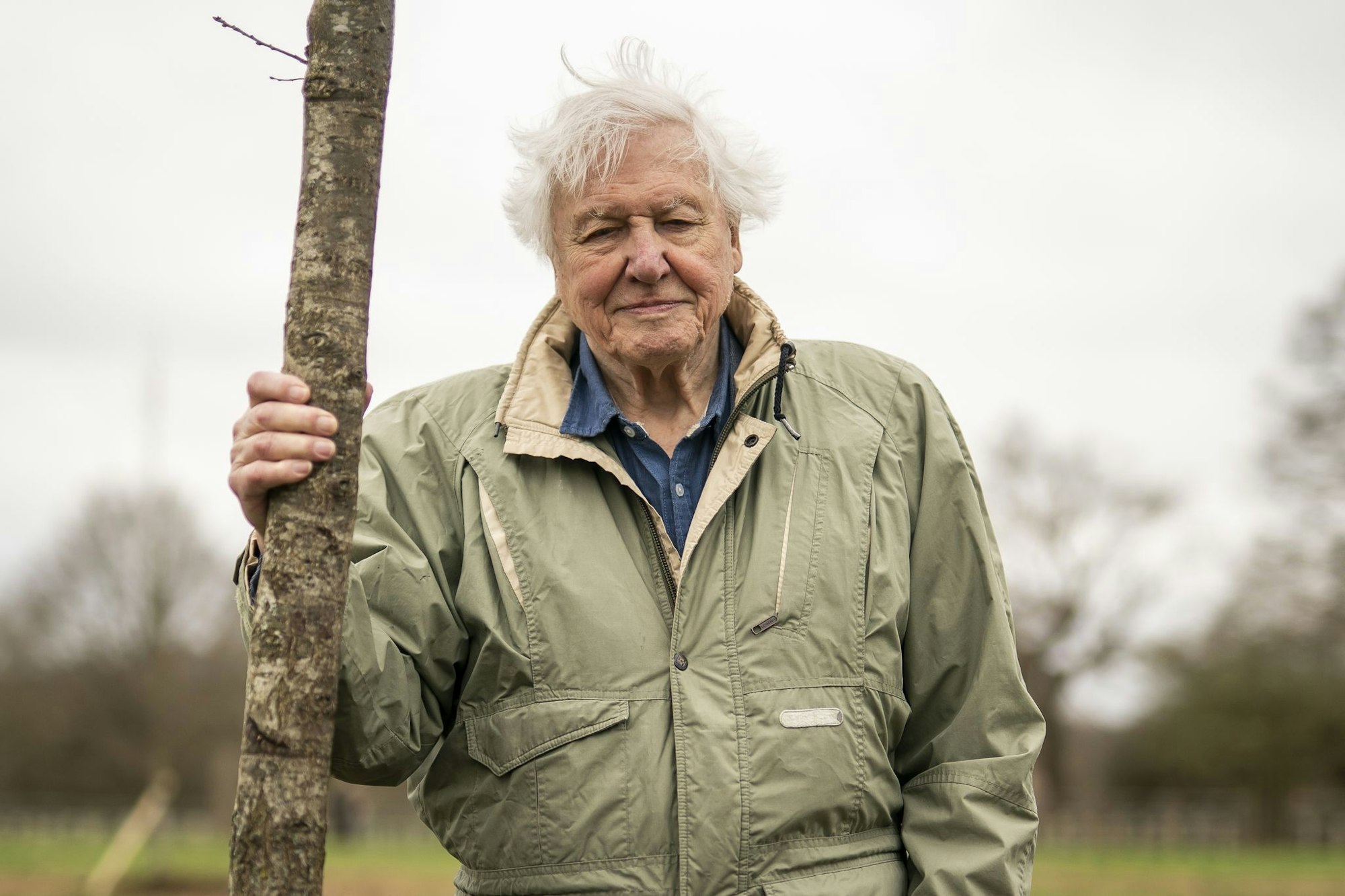 Sir David Attenborough, Naturforscher und Tierfilmer aus Großbritannien (Archivbild).