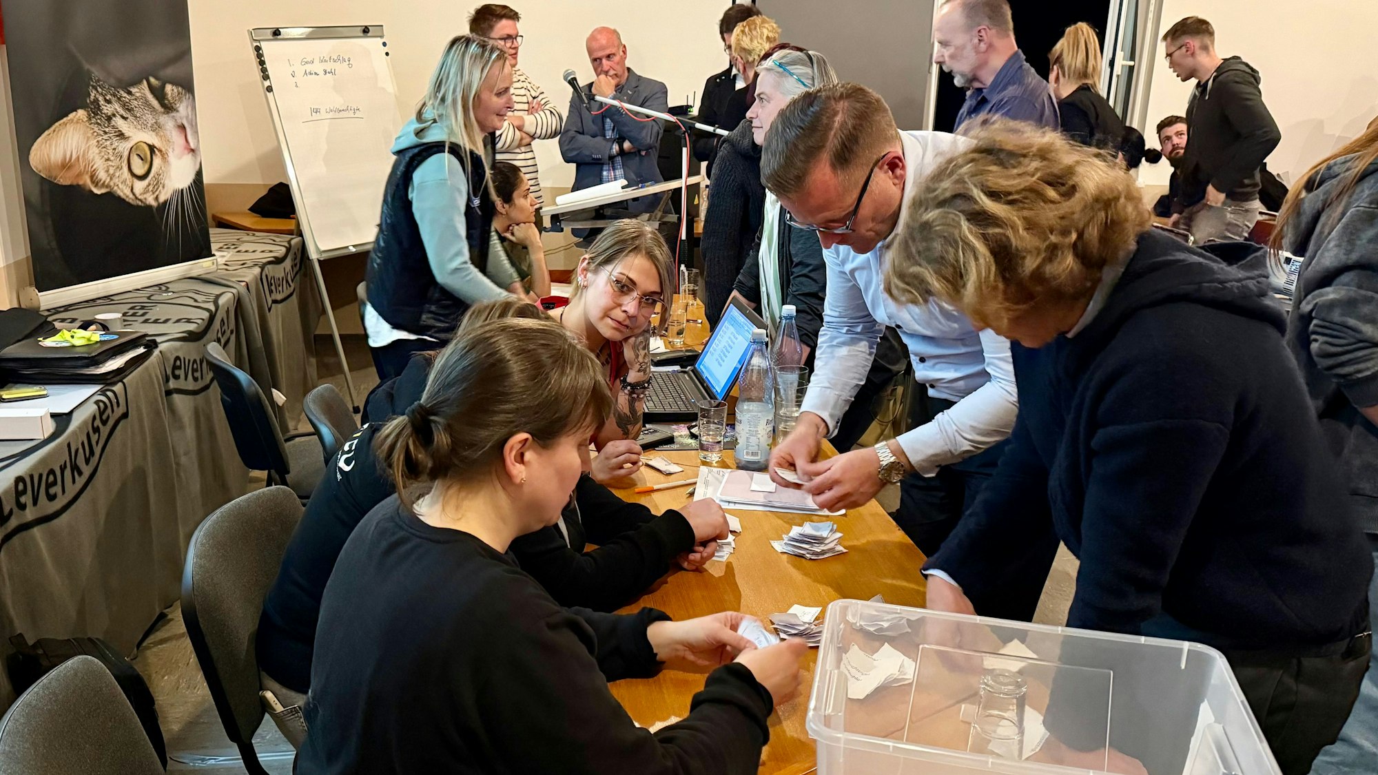 Auszählen auf der Mitgliederversammlung des Tierschutzvereins