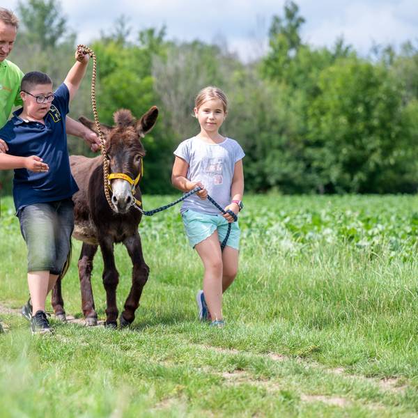 Zwei Kinder gehen mit einem Mann und einem Esel am Strick über einen Feldweg.