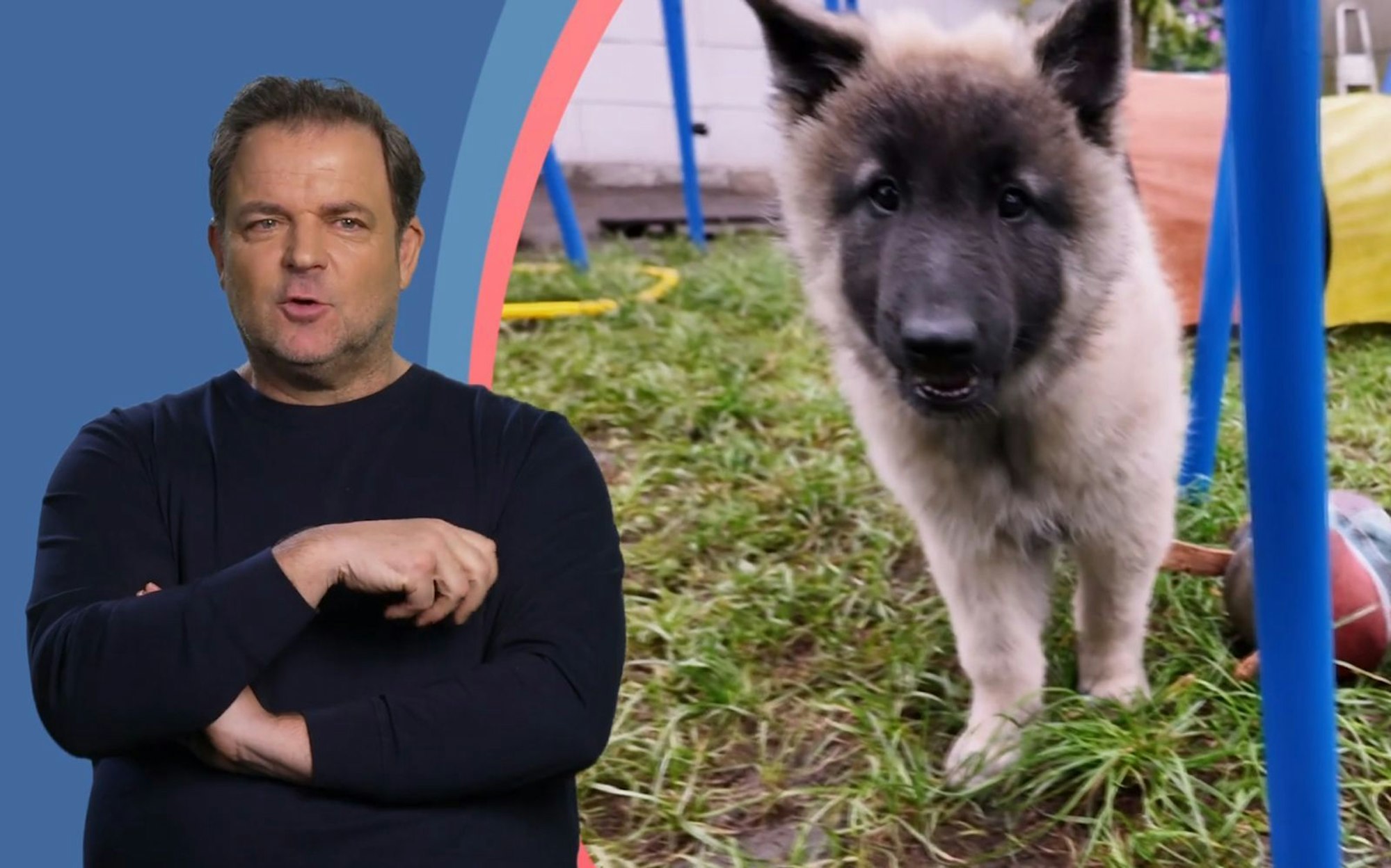 Martin Rütter ist skeptisch: Passt der aktive Hund zu seinem gesundheitlich eingeschränkten Frauchen? (Bild: RTL)