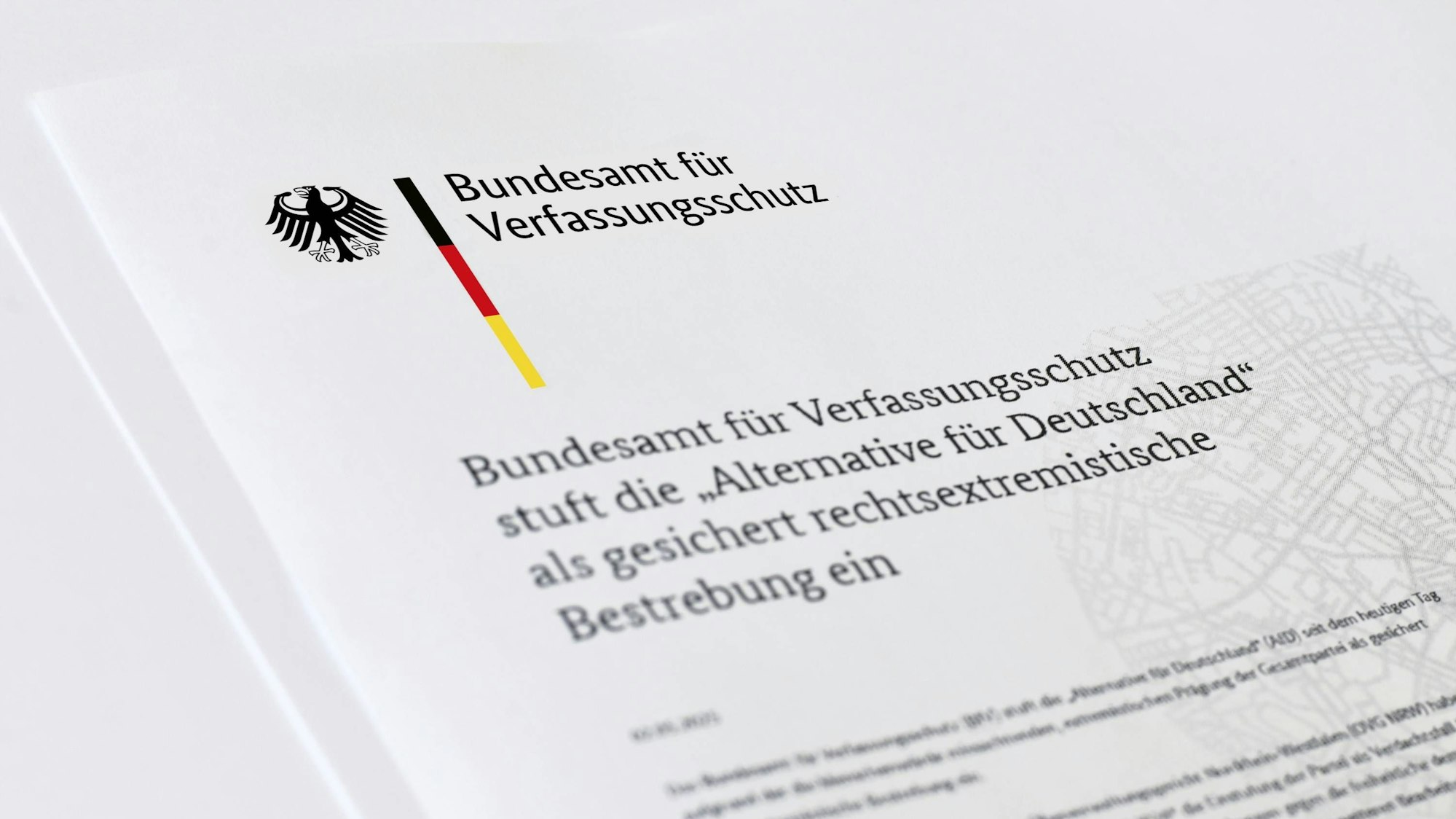 Das Bundesamt für Verfassungsschutz stuft die Alternative für Deutschland als eine bestätigte rechtsextremistische Bestrebung ein.