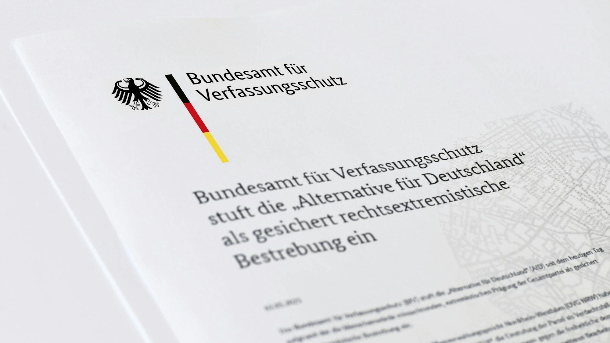 Das Bundesamt für Verfassungsschutz stuft die Alternative für Deutschland als eine bestätigte rechtsextremistische Bestrebung ein.