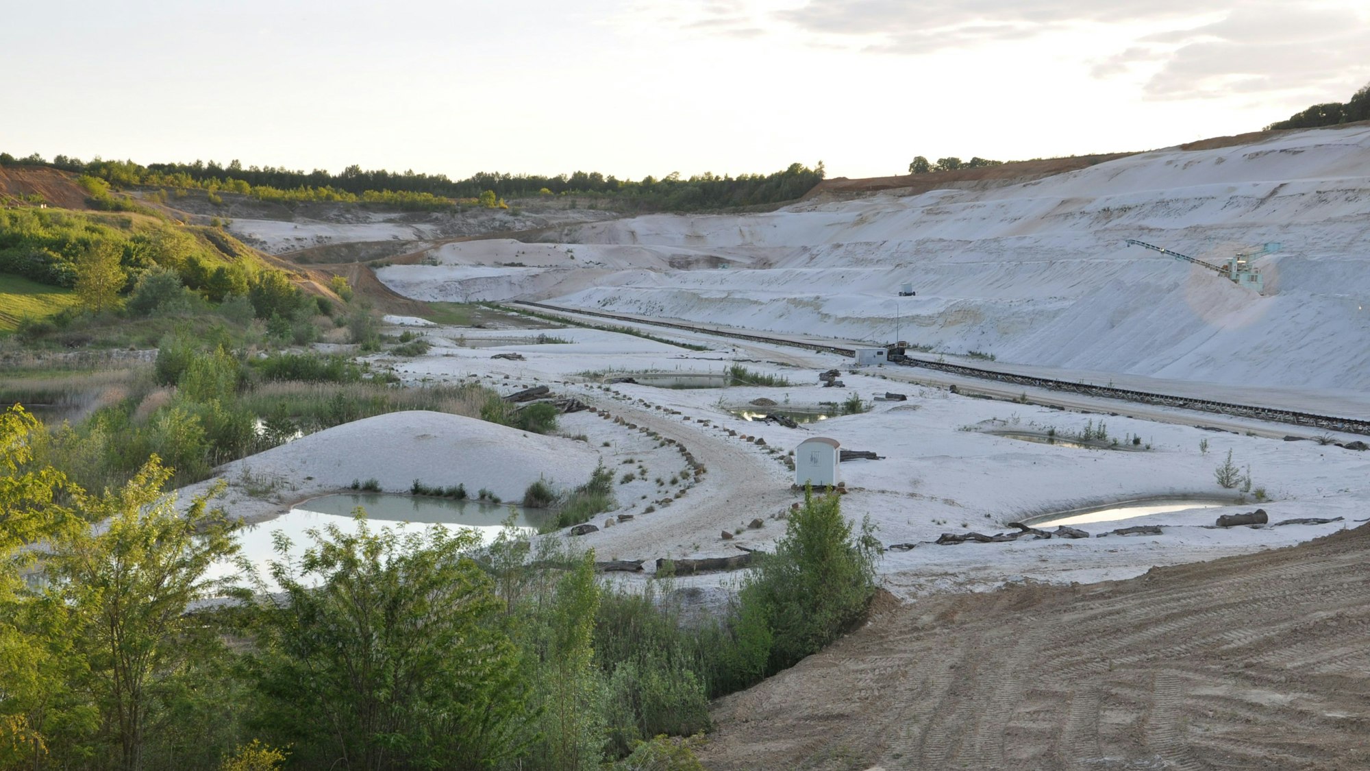 Das Bild zeigt die Aussicht über die Quarzgruben: ein steiler, weißer Abhang und daneben Bewaldung.