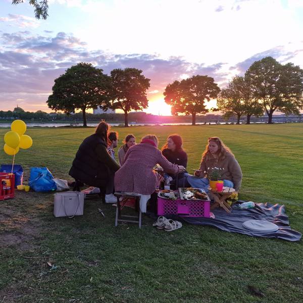 Eine Gruppe von Menschen sitzt auf den Poller Wiesen und picknickt.