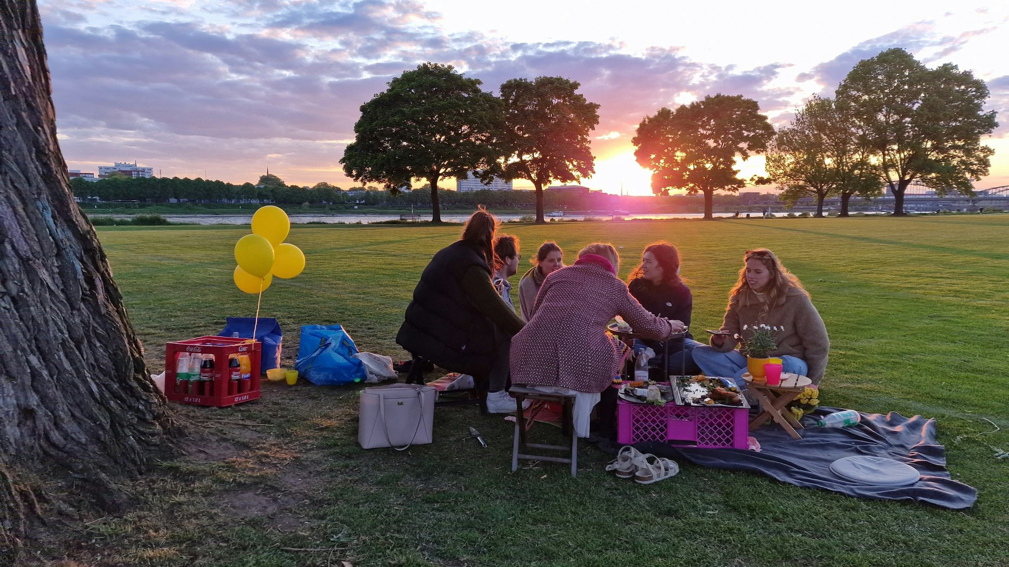 Eine Gruppe von Menschen sitzt auf den Poller Wiesen und picknickt.
