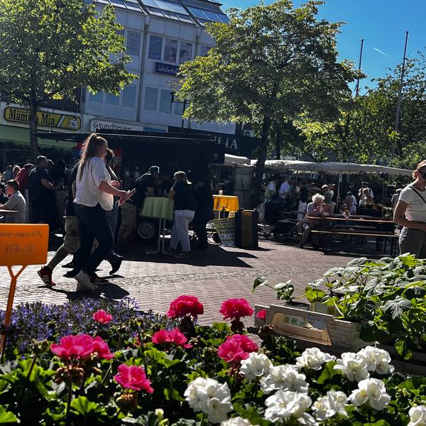 Das Brückerfeld, hier während des Frühlingsfests, in einer von fünf sogenannten Sorgfaltsbereichen in der Gestaltungsfibel.