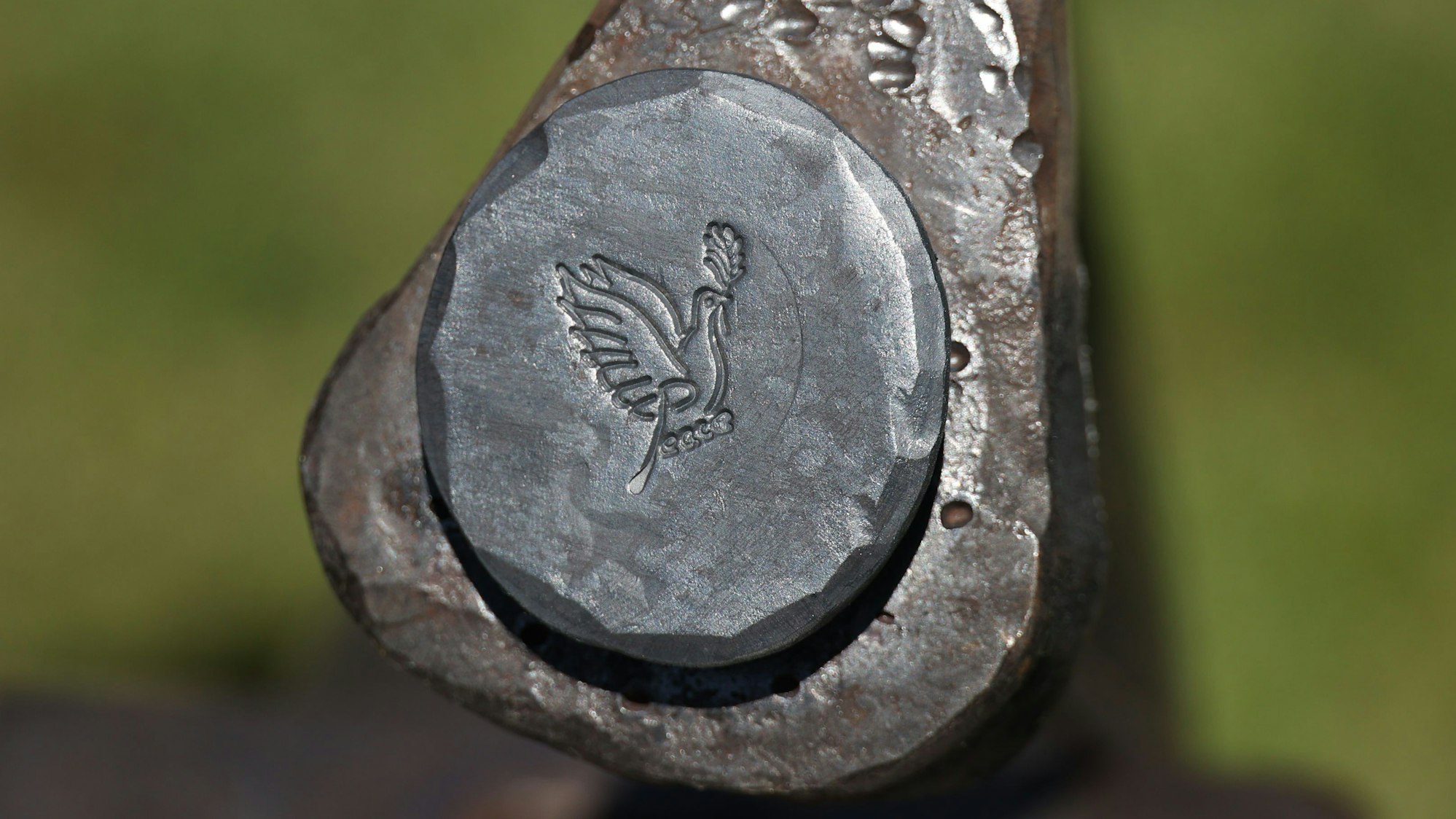 Nagelkopf mit Friedenstaube