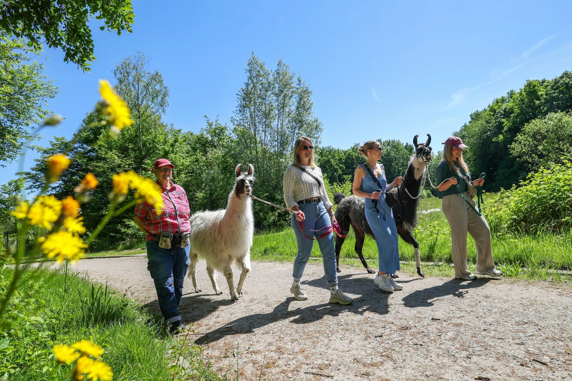 Wie lang die Wanderung werden soll, bestimmen die Wanderer.
