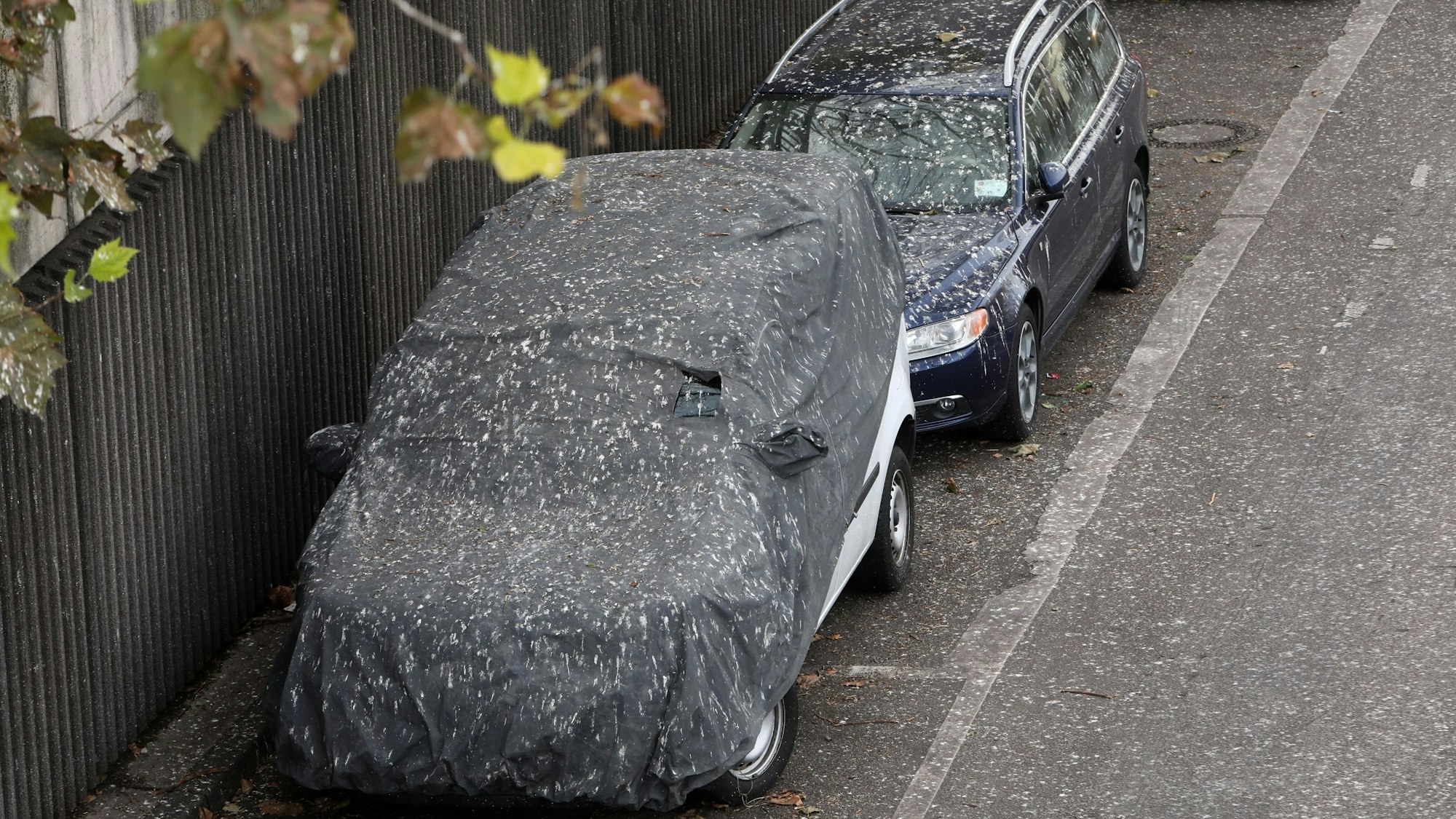 Hinterlassenschaften auf Autos auf der Fußgängerbrücke über der Rheinuferstraße.