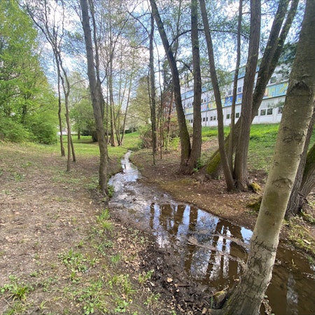 Zu sehen ist der Bachlauf des Donnerbachs und im Hintergrund das Gebäude der Grundschule Brühl-West.