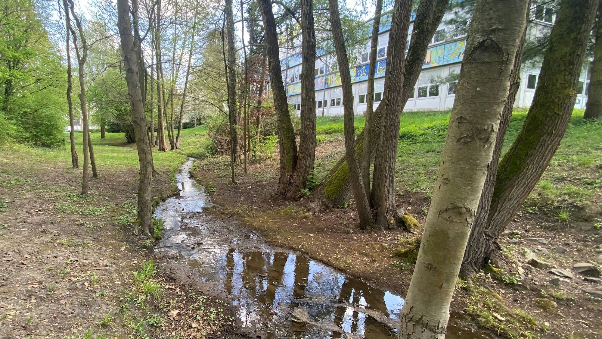 Zu sehen ist der Bachlauf des Donnerbachs und im Hintergrund das Gebäude der Grundschule Brühl-West.