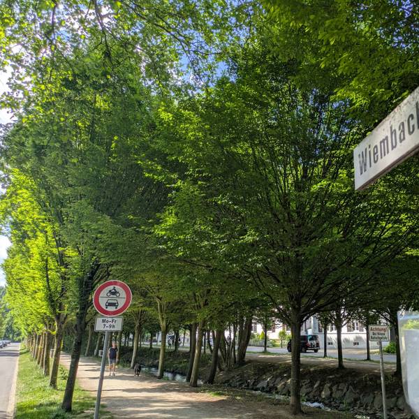 Die Wiembachallee in Opladen