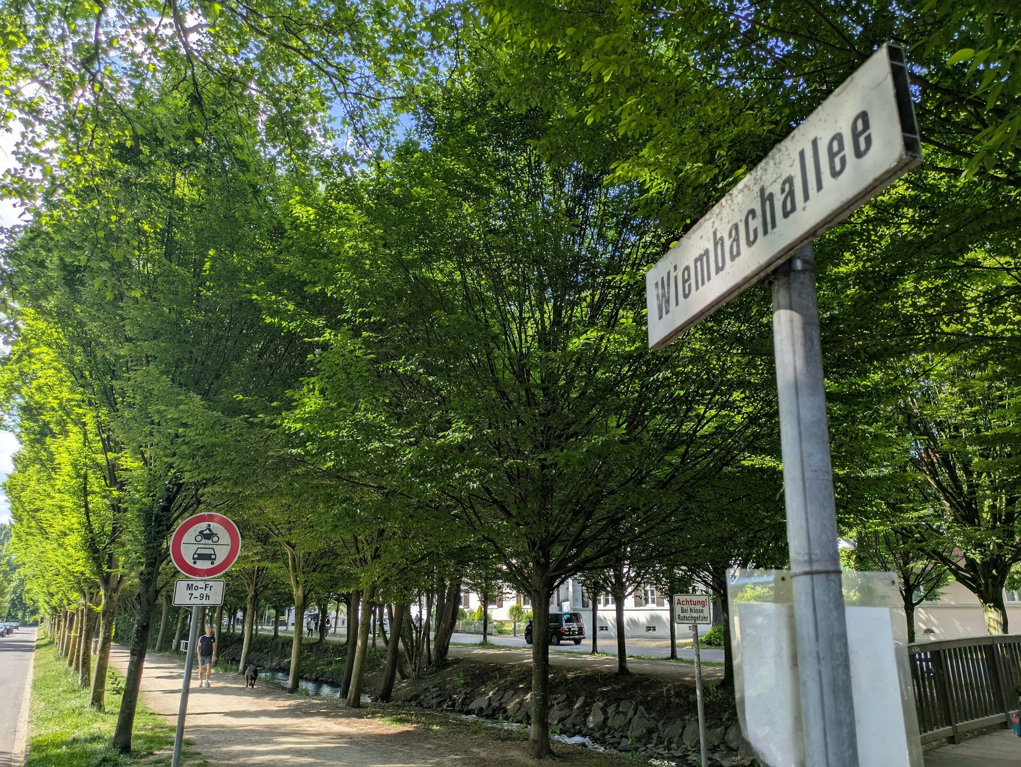 Ein Straßenschild an einer Allee.