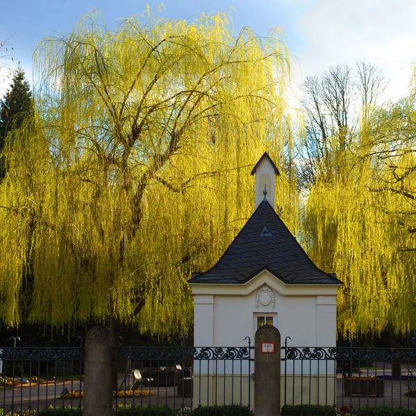 Das Bild zeigt den Eingang des Südfriedhofs in Zollstock.