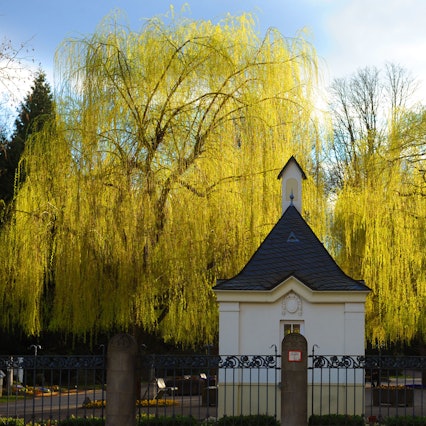 Das Bild zeigt den Eingang des Südfriedhofs in Zollstock.