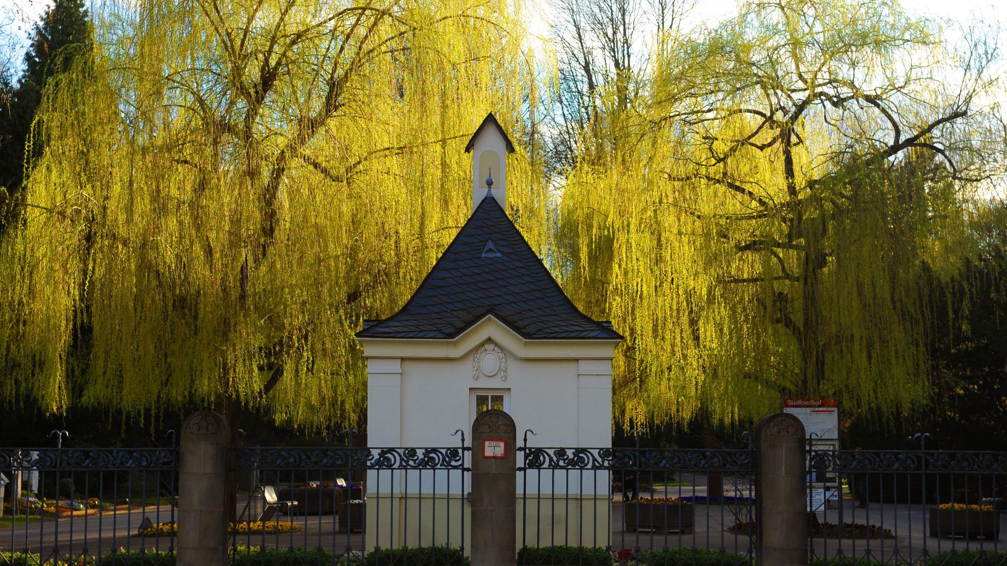 Das Bild zeigt den Eingang des Südfriedhofs in Zollstock.