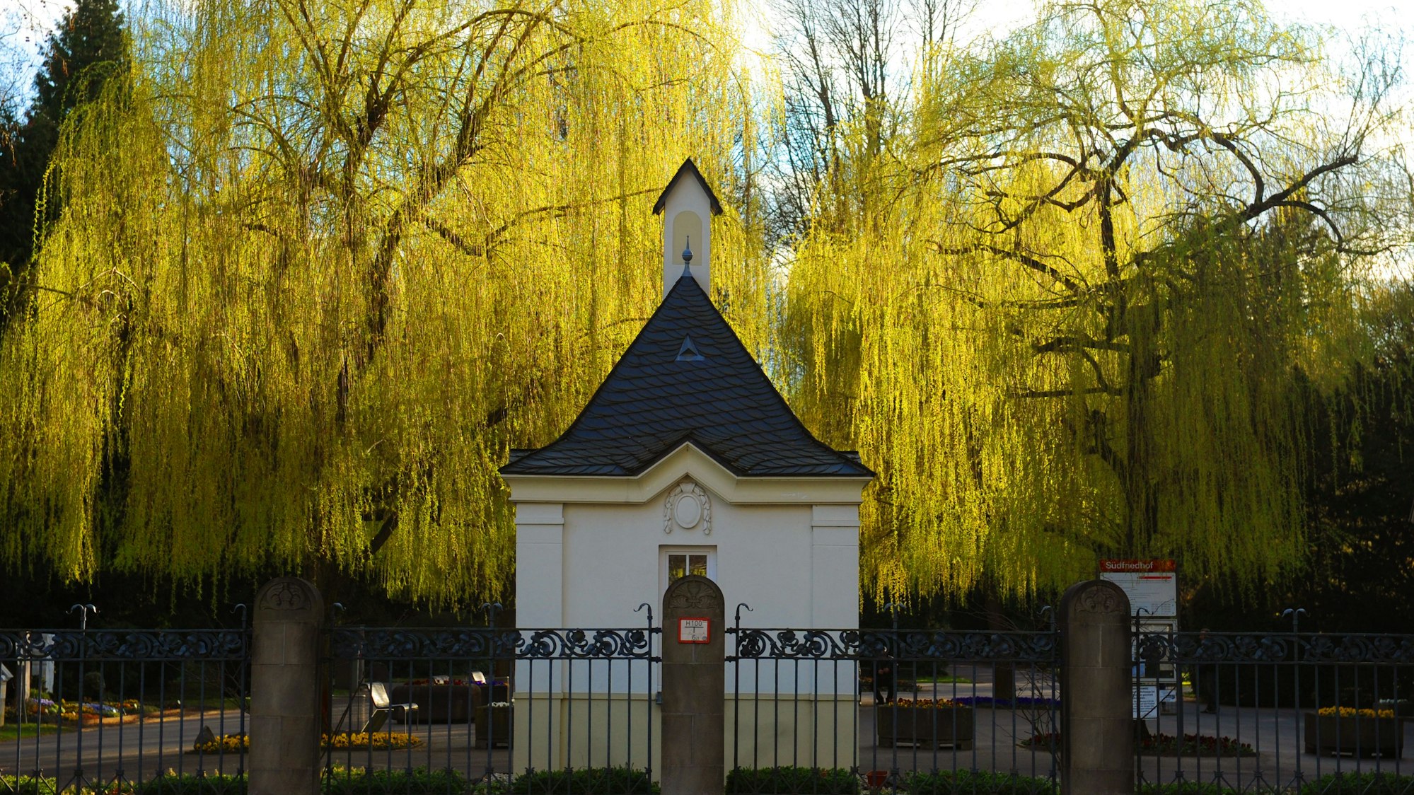 Das Bild zeigt den Eingang des Südfriedhofs in Zollstock.