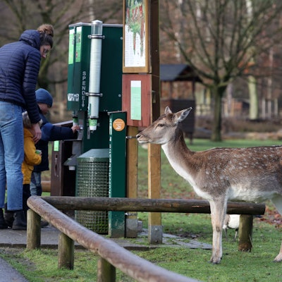 Familie füttert gemeinsam Tiere im Lindenthaler Tierpark.