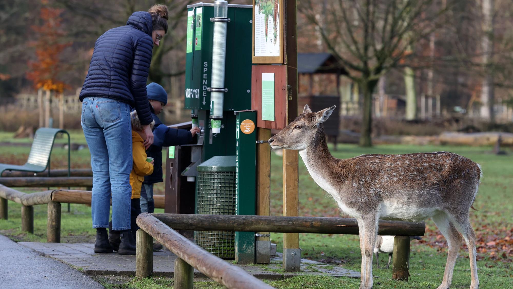 Familie füttert gemeinsam Tiere im Lindenthaler Tierpark.