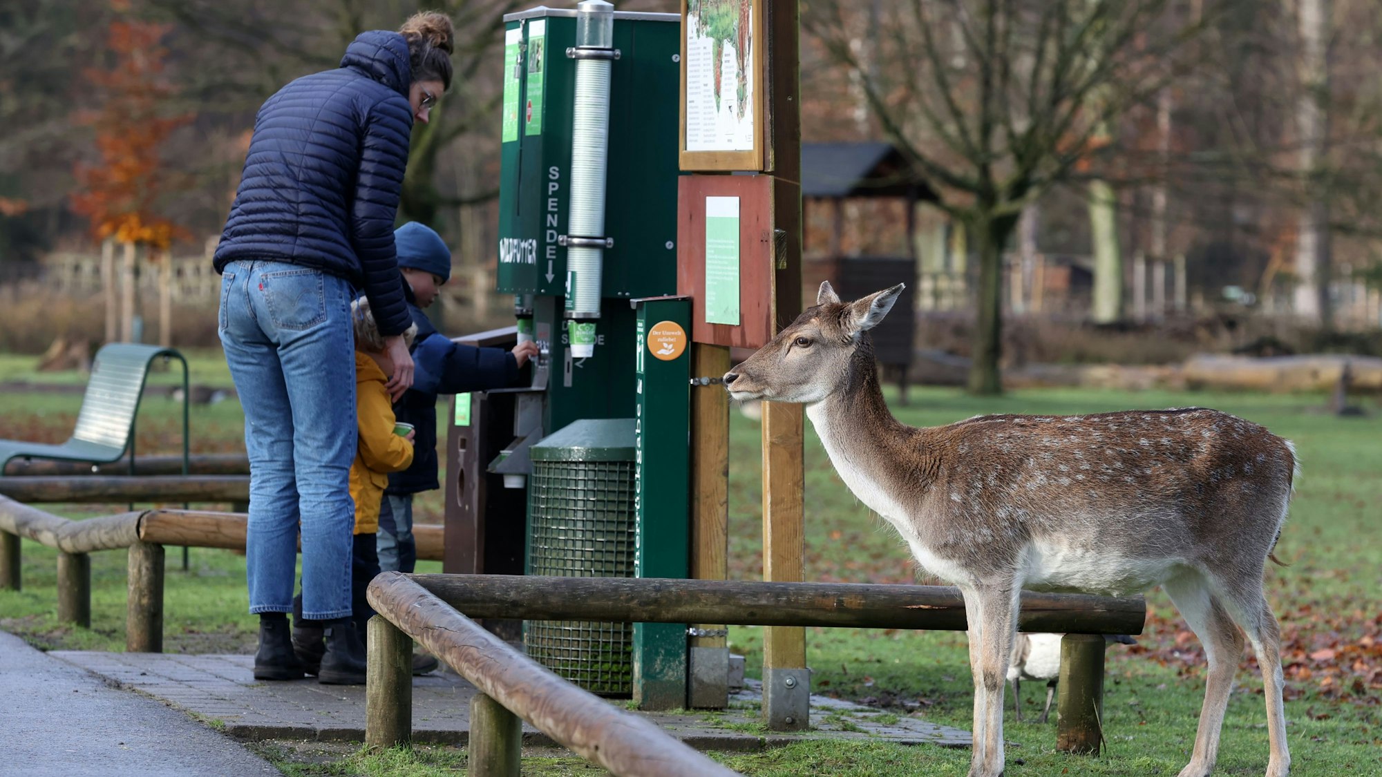 Familie füttert gemeinsam Tiere im Lindenthaler Tierpark.