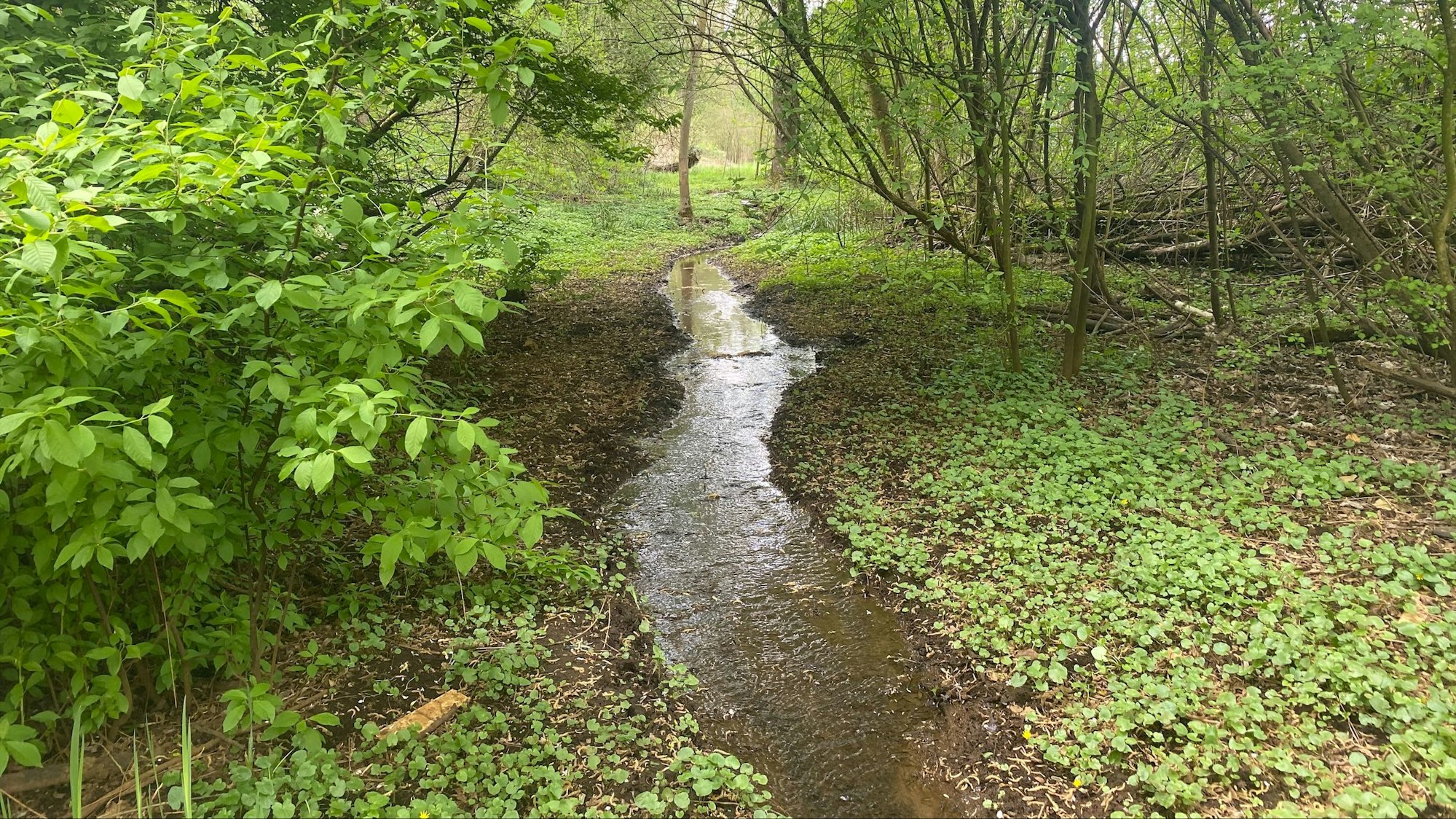 Zu sehen ist der Bauchlauf.