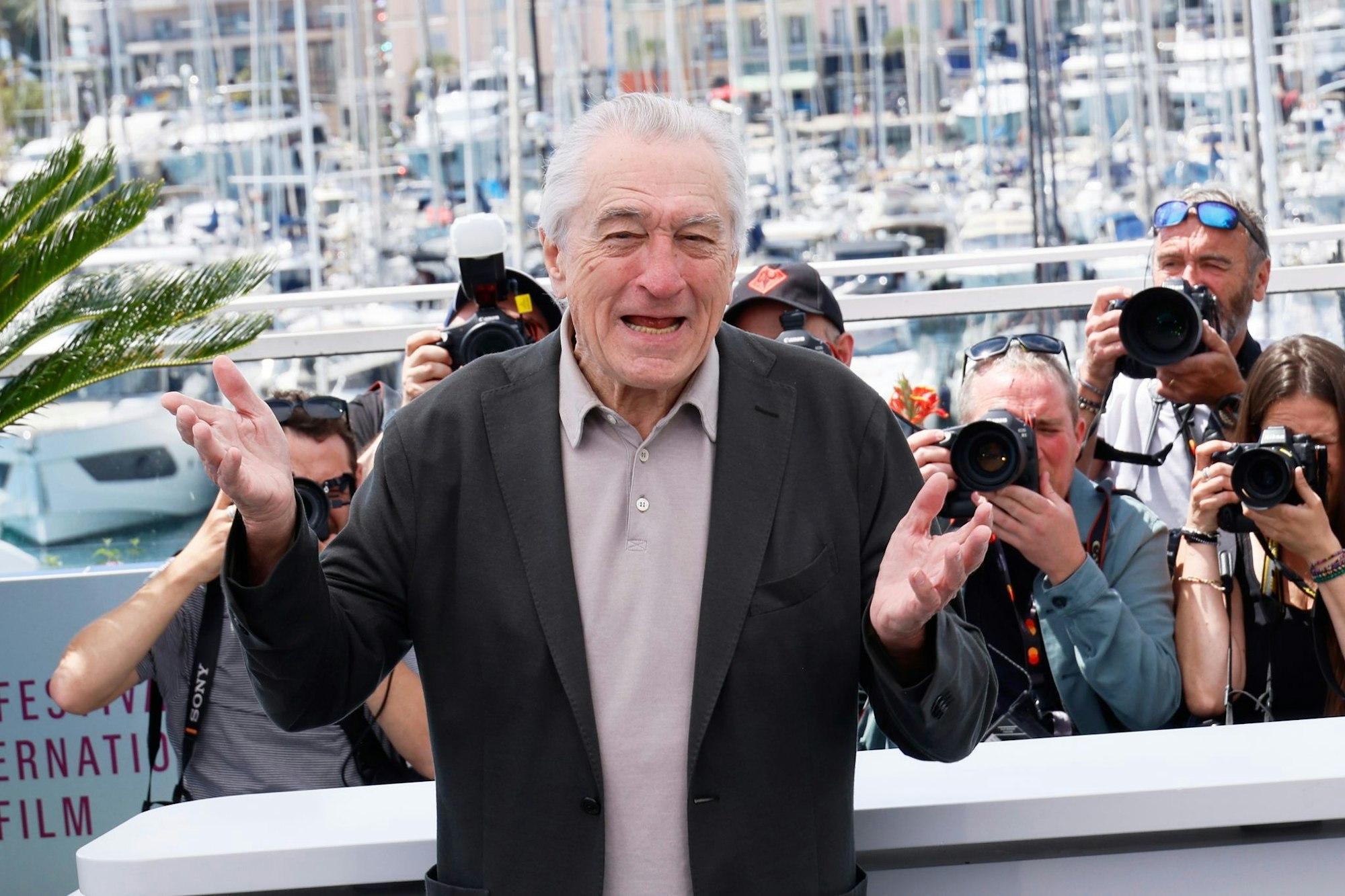 Robert De Niro ist zweifacher Oscar-Preisträger.