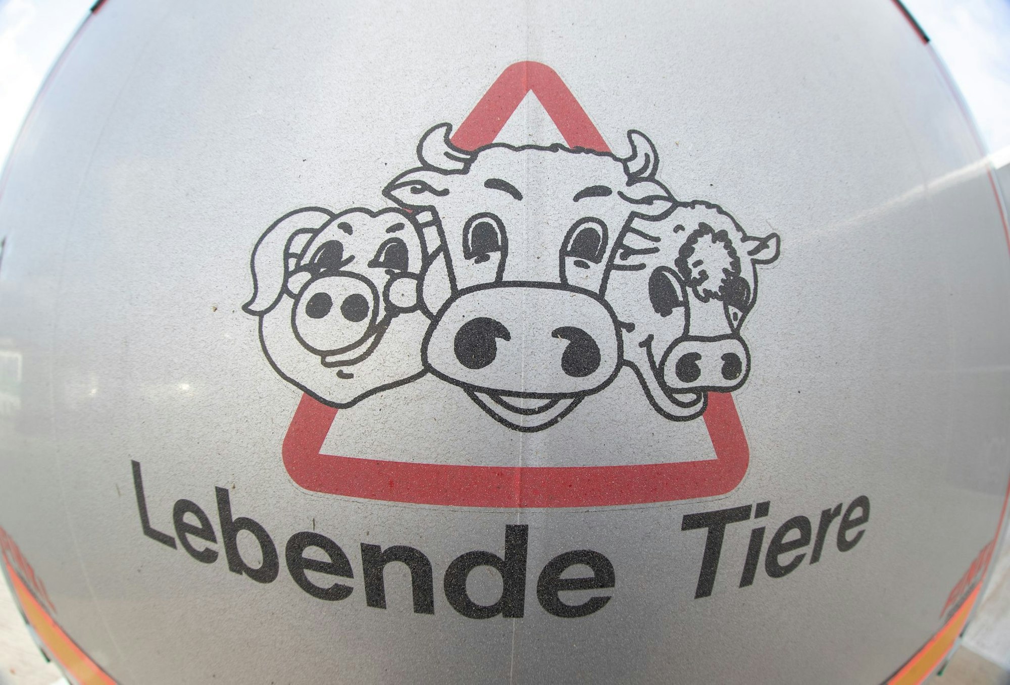 Aufnahmen einer Tierrechtsorganisation brachten die Ermittlungen ins Rollen. (Symbolfoto)