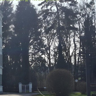 Rund um die Burg Niederpleis in Sankt Augustin können Besucher am Wochenende regionale Spezialitäten testen.