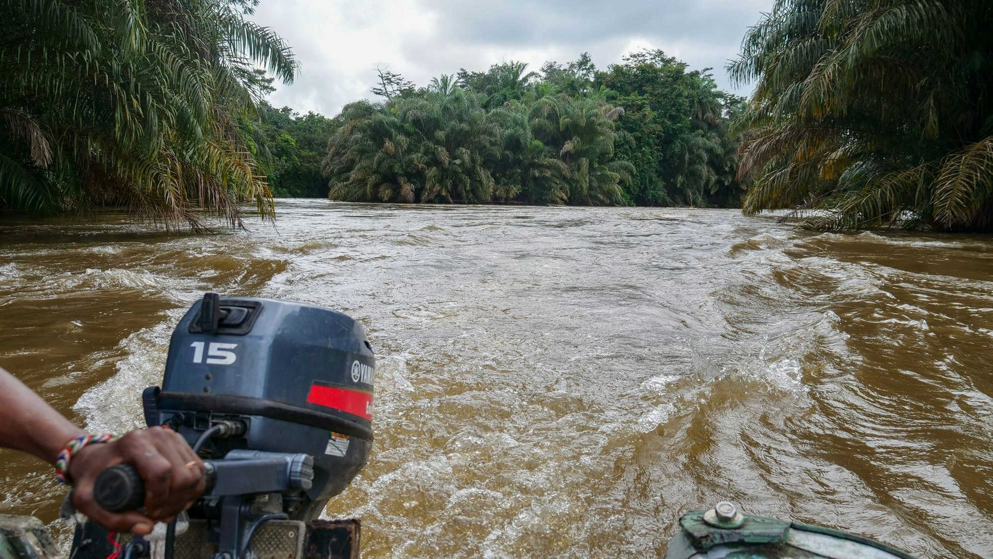 Im Boot geht es durch den Regenwald zum Schutzgebiet Tiwai Island.