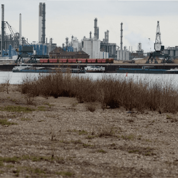 Der Rhein mit dem Godorfer Hafen in Köln