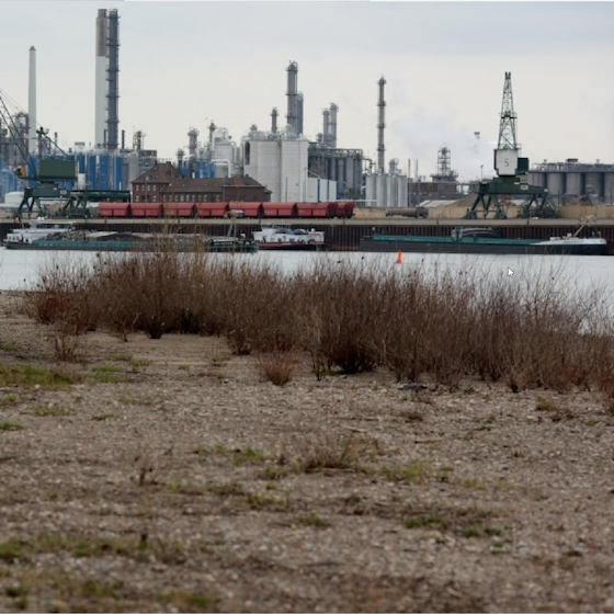 Der Rhein mit dem Godorfer Hafen in Köln